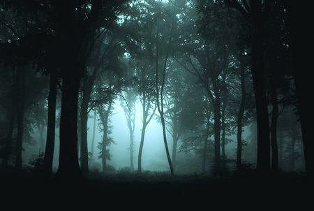 Bosque Nocturno Solem Et Lunam